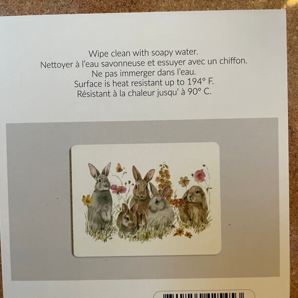 LAUREL HOME Floral Garden EASTER Bunny Cork Back Placemats 11x15 Set of 4 NEW - Picture 6 of 16
